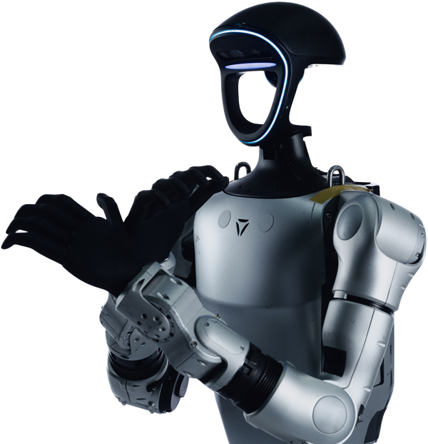 Chinese Humanoid Robots